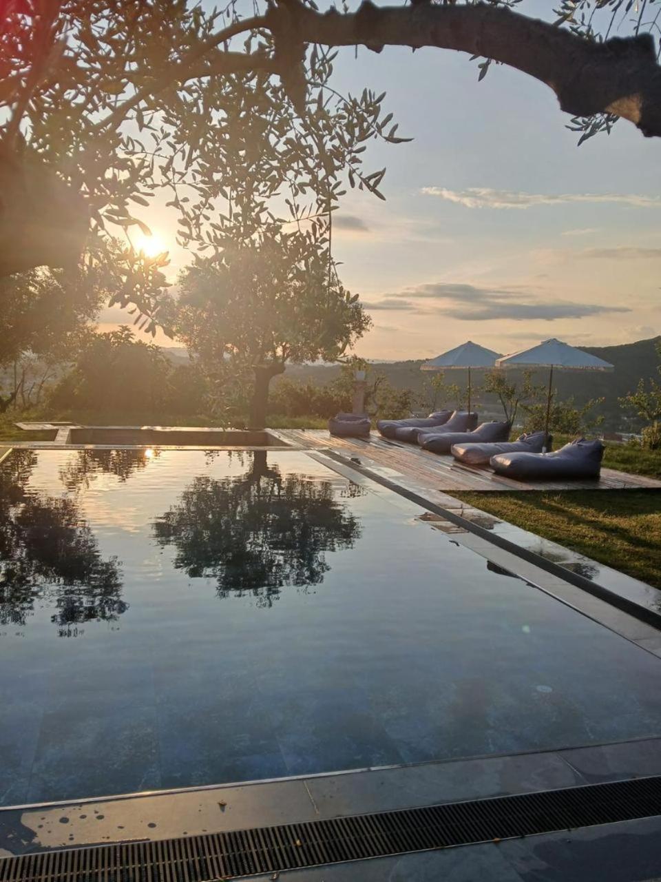 Villa Kamila Tirana Extérieur photo